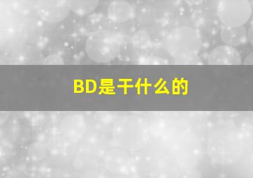 BD是干什么的