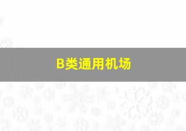 B类通用机场