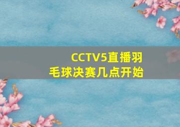 CCTV5直播羽毛球决赛几点开始