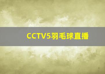 CCTV5羽毛球直播