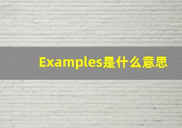 Examples是什么意思