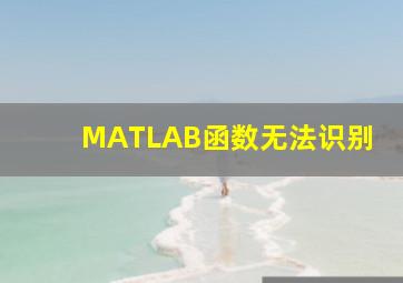 MATLAB函数无法识别