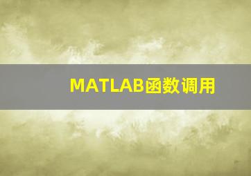 MATLAB函数调用