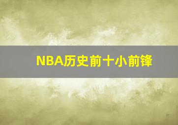 NBA历史前十小前锋