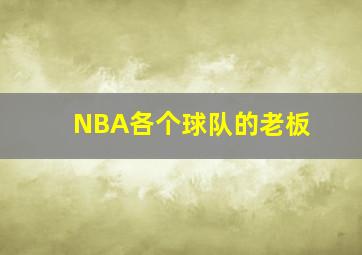 NBA各个球队的老板