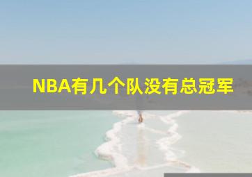 NBA有几个队没有总冠军