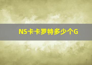 NS卡卡罗特多少个G