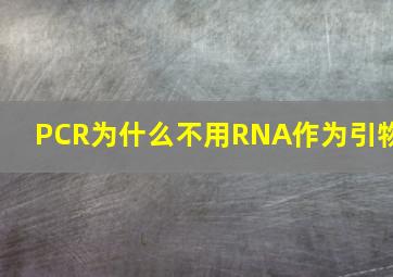 PCR为什么不用RNA作为引物