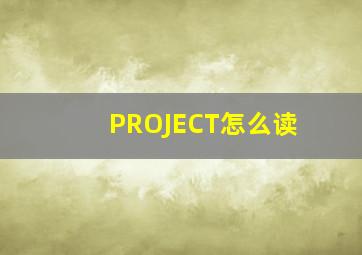 PROJECT怎么读