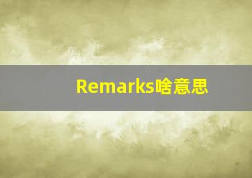 Remarks啥意思