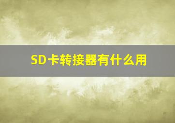 SD卡转接器有什么用