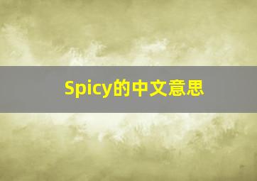 Spicy的中文意思