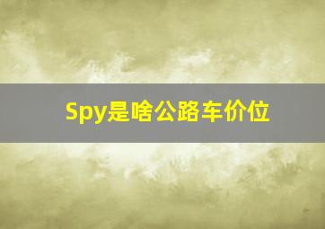 Spy是啥公路车价位