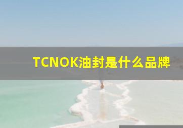 TCNOK油封是什么品牌