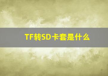 TF转SD卡套是什么