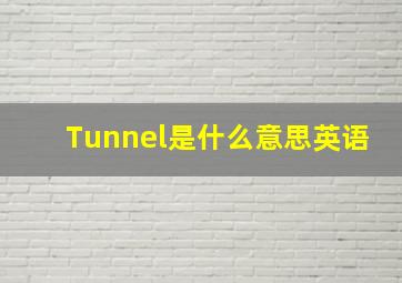 Tunnel是什么意思英语