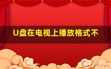 U盘在电视上播放格式不