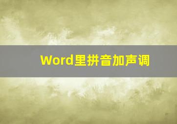 Word里拼音加声调