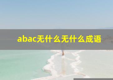 abac无什么无什么成语