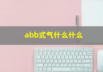 abb式气什么什么