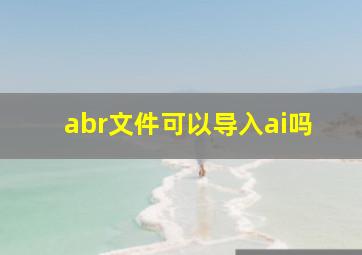 abr文件可以导入ai吗