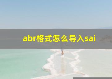 abr格式怎么导入sai