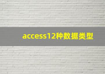 access12种数据类型