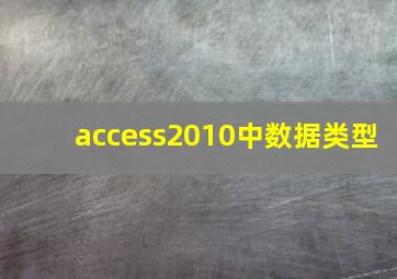 access2010中数据类型