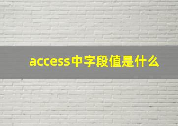 access中字段值是什么