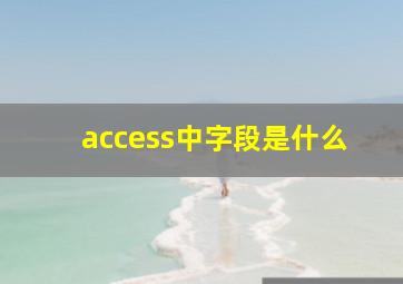 access中字段是什么