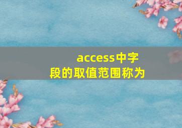 access中字段的取值范围称为