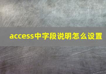 access中字段说明怎么设置