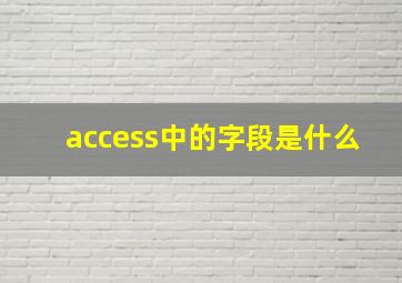 access中的字段是什么