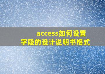 access如何设置字段的设计说明书格式