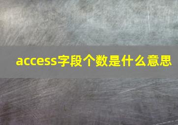 access字段个数是什么意思