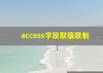 access字段取值限制