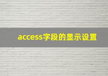 access字段的显示设置