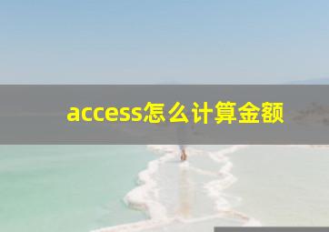 access怎么计算金额