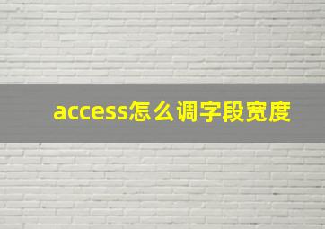 access怎么调字段宽度