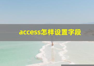 access怎样设置字段