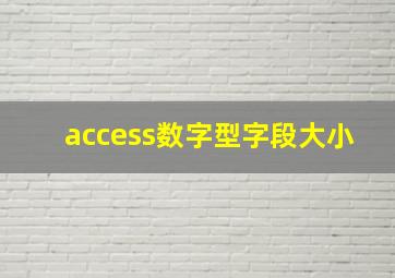 access数字型字段大小