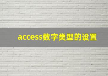 access数字类型的设置