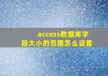 access数据库字段大小的范围怎么设置