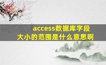 access数据库字段大小的范围是什么意思啊