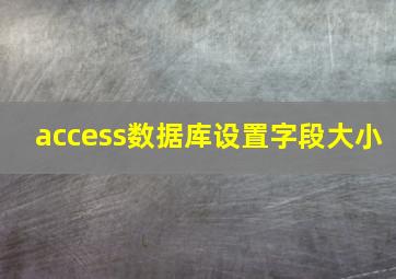 access数据库设置字段大小