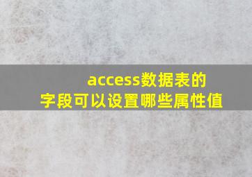 access数据表的字段可以设置哪些属性值