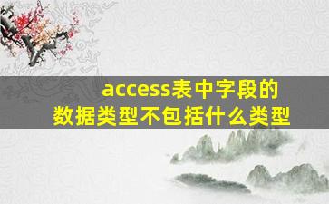 access表中字段的数据类型不包括什么类型