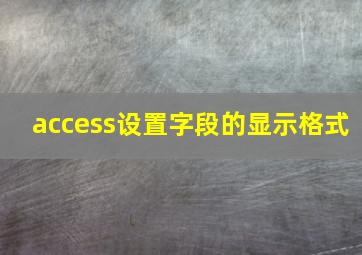 access设置字段的显示格式