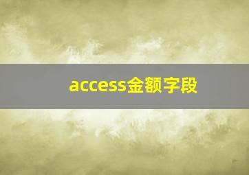 access金额字段