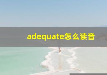 adequate怎么读音